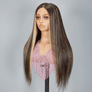 Shine Hair 9x6 Glueless Shiny Highlight Multi-color Straight Wig