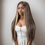 Shine Hair 9x6 Glueless Shiny Highlight Multi-color Straight Wig