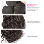 CEXXY LUXURY SERIES VIRGIN HAIR Water Wave BUNDLE DEAL - cexxyhair.com