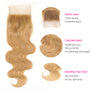 #27 Colored Body Wave Virgin Hair Extension Bundle Deal