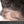 CEXXY Hair 360 Lace Frontal Human Hair Deep Wave - cexxyhair.com